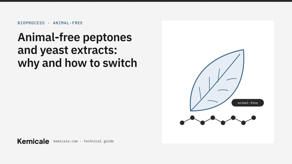 Animal-free peptones and yeast extracts: why and how to switch – Kemicale technical guide cover