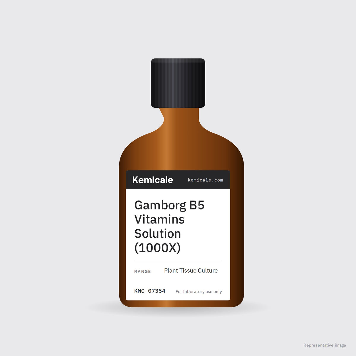 Gamborg B5 Vitamins Solution (1000X) – Kemicale representative pack image